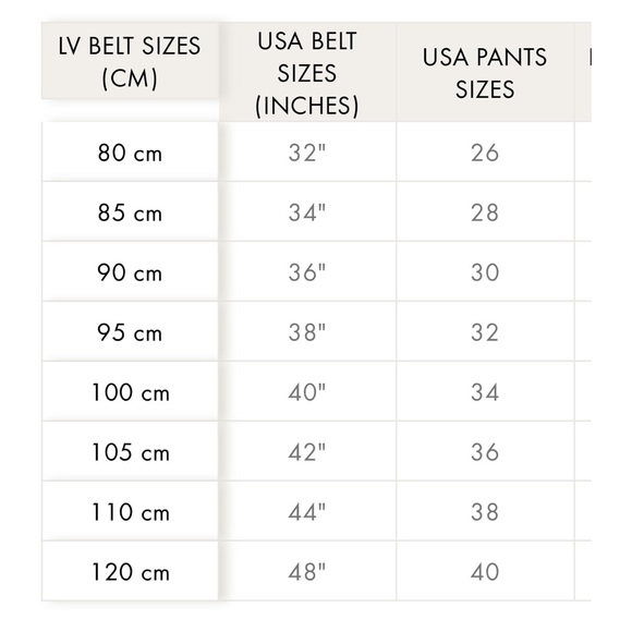 AUTHENTIC Louis Vuitton Initials Reversible Monogram Macassar Belt - Picture 14 of 14